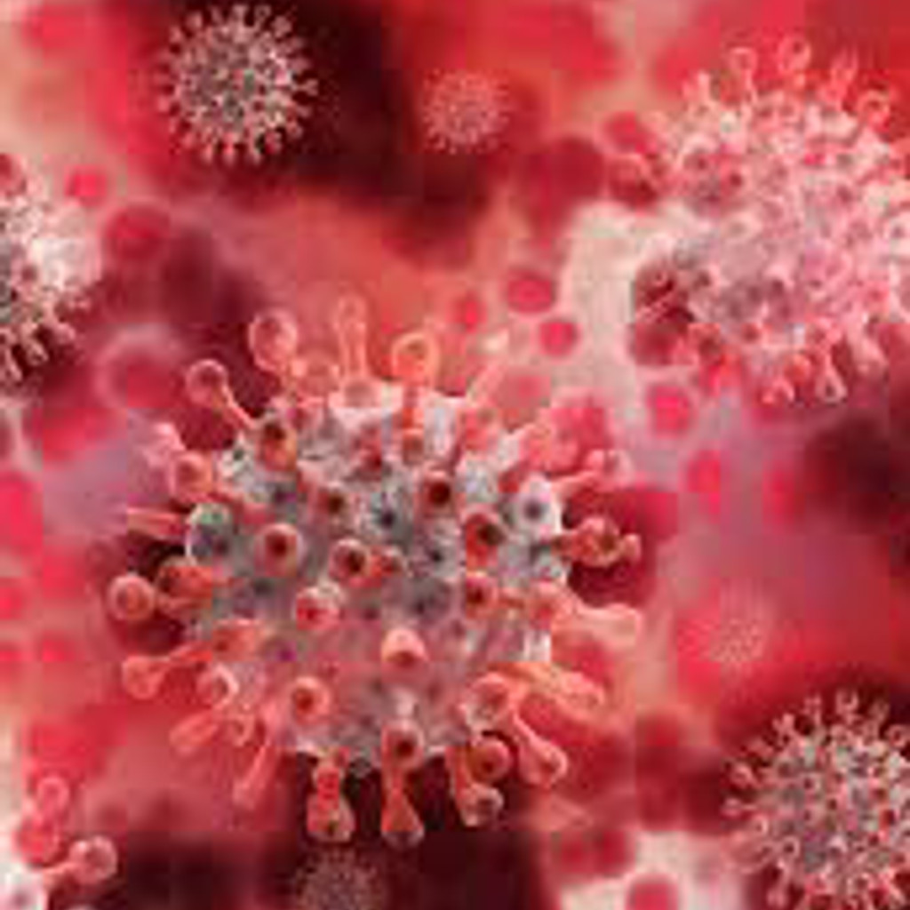 Virus